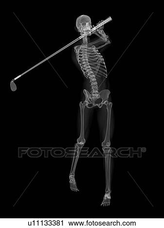 Clip Art - Skeleton playing golf, artwork. Fotosearch