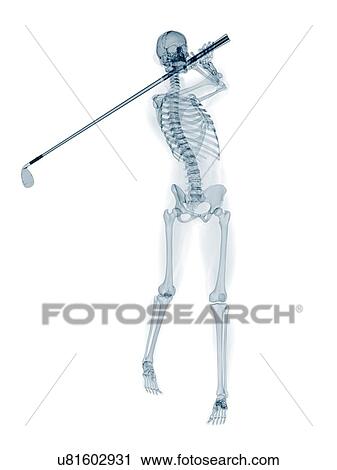 Skeleton playing golf, artwork View Large Illustration Clip Art - Skeleton playing golf, artwork. Fotosearch