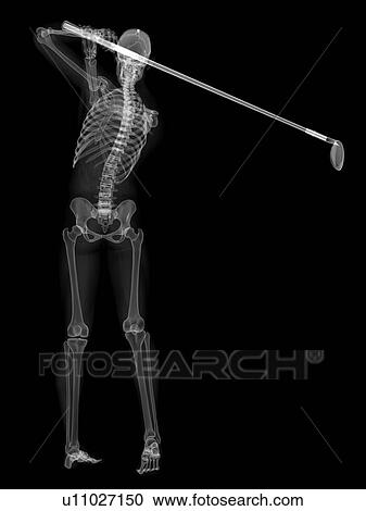 Skeleton playing golf, artwork View Large Illustration Clipart - Skeleton playing golf, artwork. Fotosearch