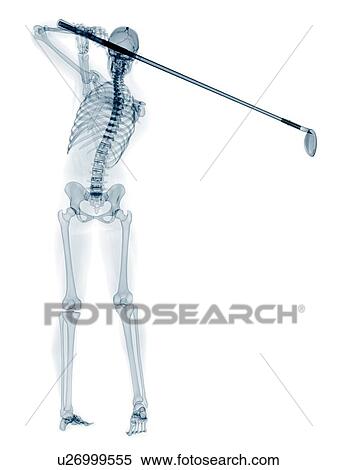 Skeleton playing golf, artwork View Large Illustration Stock Illustration - Skeleton playing golf, artwork. Fotosearch