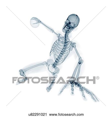 Clip Art - Skeleton playing handball, artwork. Fotosearch