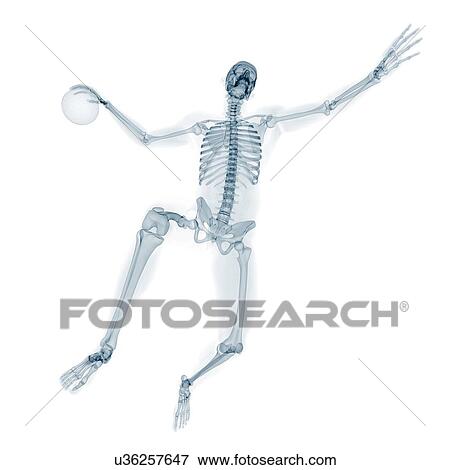 Skeleton playing handball, artwork View Large Illustration Stock Illustration - Skeleton playing handball, artwork. Fotosearch