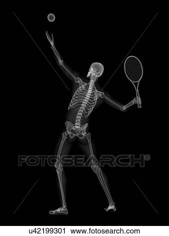 Skeleton playing tennis, artwork View Large Illustration Clip Art - Skeleton playing tennis, artwork. Fotosearch