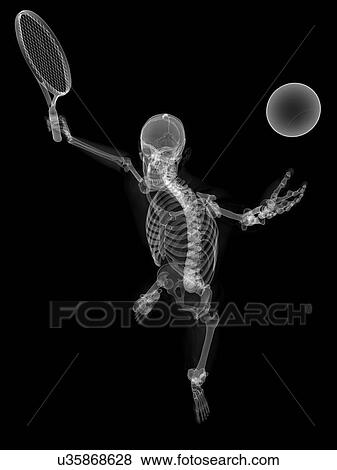 Stock Illustration - Skeleton playing tennis, artwork. Fotosearch