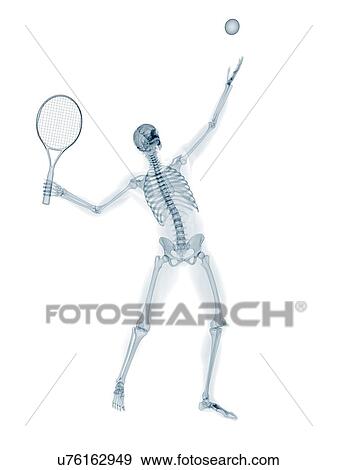 Stock Illustration - Skeleton playing tennis, artwork. Fotosearch
