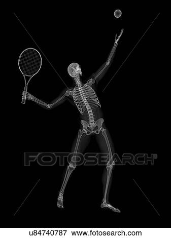 Skeleton playing tennis, artwork View Large Illustration Stock Illustration - Skeleton playing tennis, artwork. Fotosearch