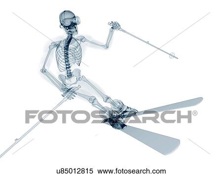 Stock Illustration - Skeleton skiing, artwork. Fotosearch