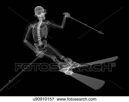 Stock Illustration - Skeleton skiing, artwork. Fotosearch