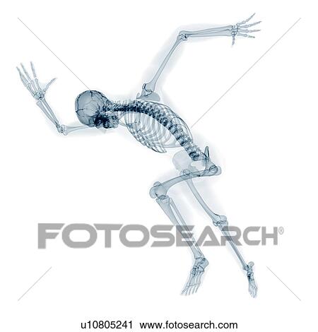 Skeleton sprinting, artwork View Large Illustration Clip Art - Skeleton sprinting, artwork. Fotosearch