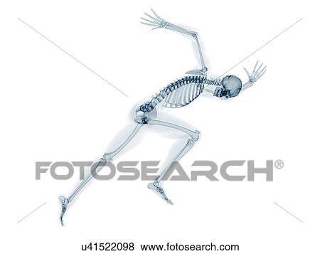 Skeleton sprinting, artwork View Large Illustration Stock Illustration - Skeleton sprinting, artwork. Fotosearch