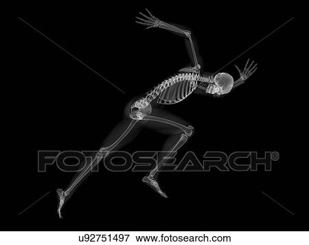 Stock Illustration - Skeleton sprinting, artwork. Fotosearch