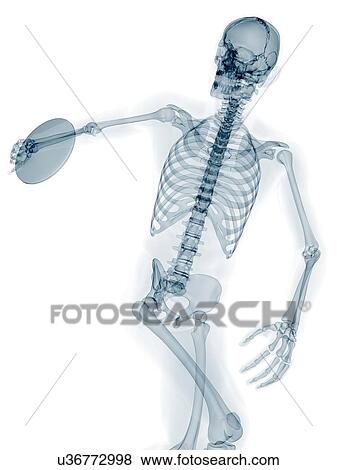 Skeleton throwing discus, artwork View Large Illustration Stock Illustration - Skeleton throwing discus, artwork. Fotosearch