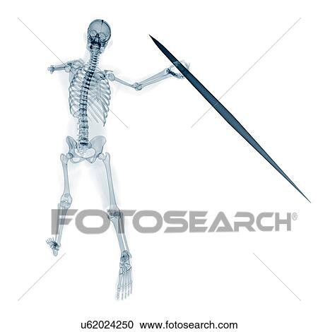Skeleton throwing javelin, artwork View Large Illustration Clipart - Skeleton throwing javelin, artwork. Fotosearch