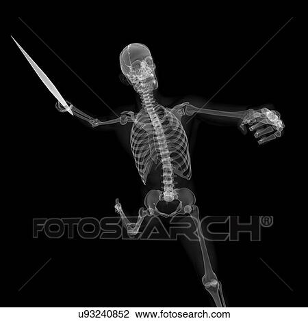 Skeleton throwing javelin, artwork View Large Illustration Drawing - Skeleton throwing javelin, artwork. Fotosearch