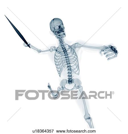 Stock Illustration - Skeleton throwing javelin, artwork. Fotosearch