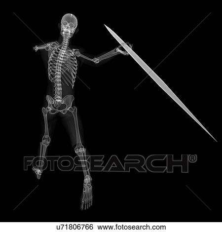 Skeleton throwing javelin, artwork View Large Illustration Stock Illustration - Skeleton throwing javelin, artwork. Fotosearch
