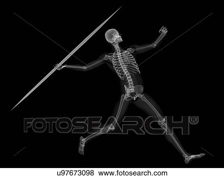 Skeleton throwing javelin, artwork View Large Illustration Stock Illustration - Skeleton throwing javelin, artwork. Fotosearch
