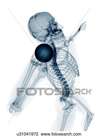Skeleton throwing shot put, artwork View Large Illustration Drawing - Skeleton throwing shot put, artwork. Fotosearch