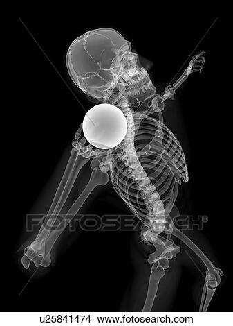 Skeleton throwing shot put, artwork View Large Illustration Stock Illustration - Skeleton throwing shot put, artwork. Fotosearch