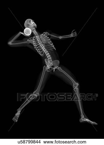Skeleton throwing shot put, artwork View Large Illustration Stock Illustration - Skeleton throwing shot put, artwork. Fotosearch