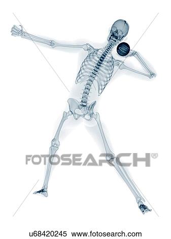 Skeleton throwing shot put, artwork View Large Illustration Stock Illustration - Skeleton throwing shot put, artwork. Fotosearch