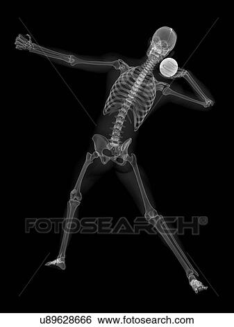 Skeleton throwing shot put, artwork View Large Illustration Stock Illustration - Skeleton throwing shot put, artwork. Fotosearch