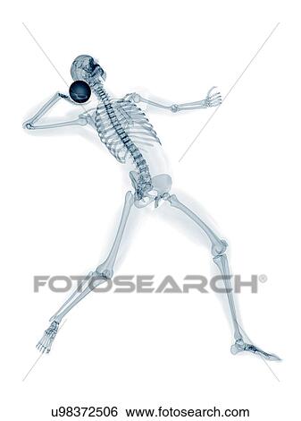 Skeleton throwing shot put, artwork View Large Illustration Stock Illustration - Skeleton throwing shot put, artwork. Fotosearch