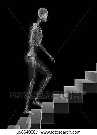 Stock Illustration - Skeleton walking up stairs, artwork. Fotosearch