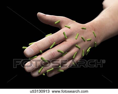 Drawing - Skin bacteria, artwork. Fotosearch