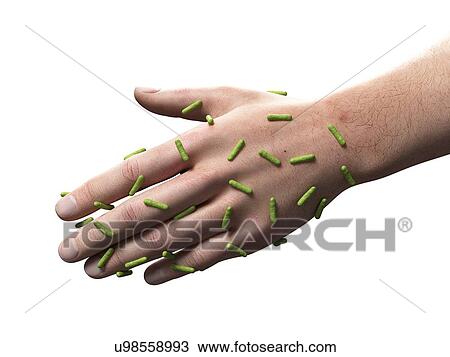 Drawing - Skin bacteria, artwork. Fotosearch