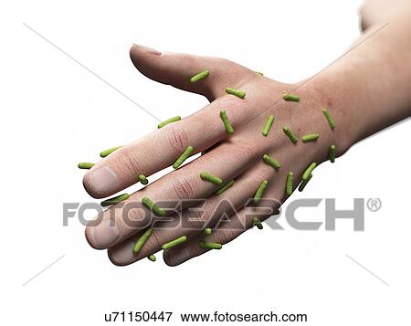 Skin bacteria, artwork View Large Illustration Stock Illustration - Skin bacteria, artwork. Fotosearch