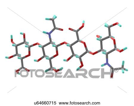 Stock Illustration - Hyaluronic acid molecule. Fotosearch