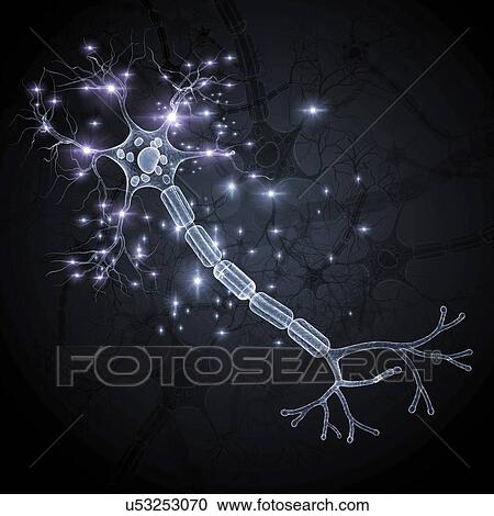 Clipart - Nerve cell, artwork. Fotosearch