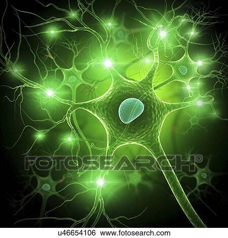 Stock Illustration - Nerve cell, artwork. Fotosearch