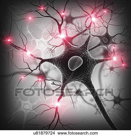 Nerve cell, artwork View Large Illustration Stock Illustration - Nerve cell, artwork. Fotosearch