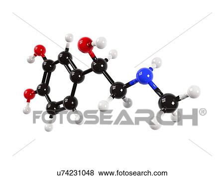 Stock Illustration - Adrenaline hormone molecule. Fotosearch