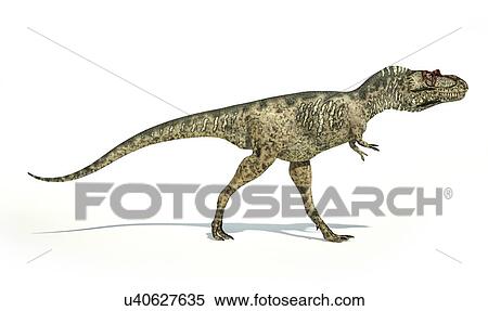 Stock Illustration - Albertosaurus dinosaur, artwork. Fotosearch