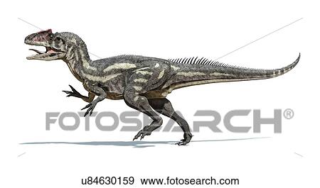 Allosaurus dinosaur, artwork View Large Illustration Stock Illustration - Allosaurus dinosaur, artwork. Fotosearch