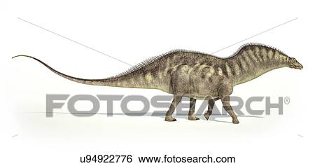 Amargasaurus dinosaur, artwork View Large Illustration Stock Illustration - Amargasaurus dinosaur, artwork. Fotosearch