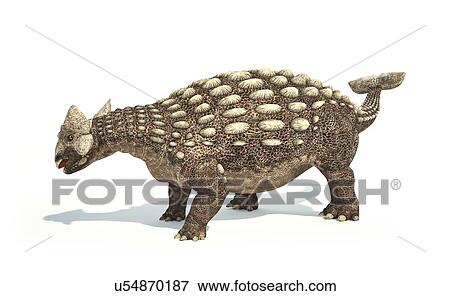 Ankylosaurus dinosaur, artwork View Large Illustration Stock Illustration - Ankylosaurus dinosaur, artwork. Fotosearch