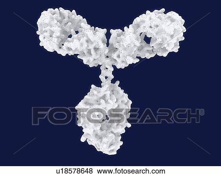 Stock Illustration - Antibody, artwork. Fotosearch
