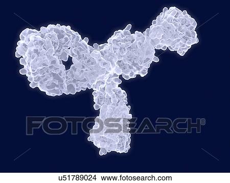 Antibody, artwork View Large Illustration Stock Illustration - Antibody, artwork. Fotosearch