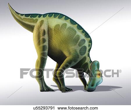 Artwork of a corythosaurus dinosaur View Large Illustration Clip Art - Artwork of a corythosaurus dinosaur. Fotosearch