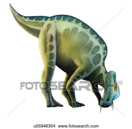 Artwork of a corythosaurus dinosaur View Large Illustration Stock Illustration - Artwork of a corythosaurus dinosaur. Fotosearch