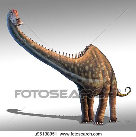 Clip Art - Artwork of a diplodocus dinosaur. Fotosearch