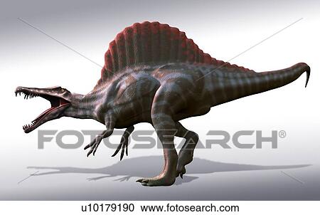 Artwork of a spinosaurus dinosaur View Large Illustration Clipart - Artwork of a spinosaurus dinosaur. Fotosearch