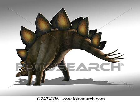 Stock Illustration - Artwork of a stegosaurus dinosaur. Fotosearch