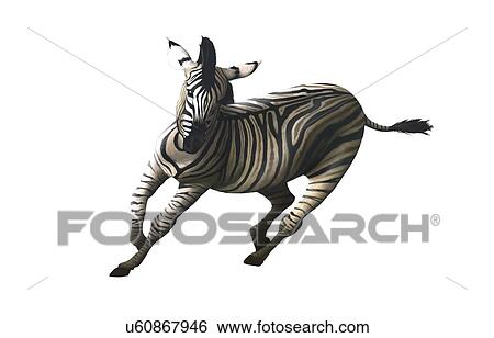 Artwork of a zebra galloping View Large Illustration Stock Illustration - Artwork of a zebra galloping. Fotosearch