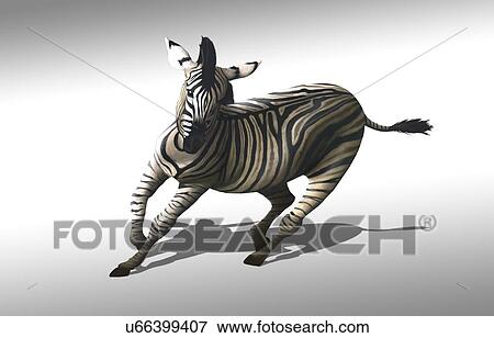 Artwork of a zebra galloping View Large Illustration Stock Illustration - Artwork of a zebra galloping. Fotosearch