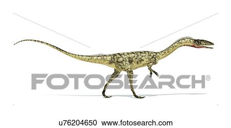 Coelophysis dinosaur, artwork View Large Illustration Clipart - Coelophysis dinosaur, artwork. Fotosearch